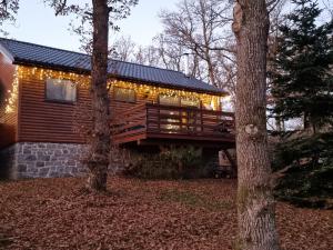 a log cabin with christmas lights on the deck at Séjour cosy au Chamily in Somme-Leuze