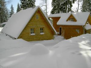a house covered in snow with a pile of snow at Chalet Tatranec in Vyšné Hágy