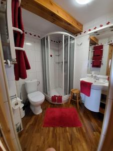 a bathroom with a toilet and a shower and a sink at Agroturystyka Łysa Góra in Jelenia Góra +75 photos