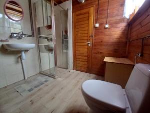 La salle de bains est pourvue de toilettes et d'un lavabo. dans l'établissement Domki Letniskowe KORMORAN, à Kąty Rybackie