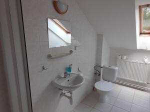 uma casa de banho branca com um WC e um lavatório em Penzion Kovářská em Kovářská