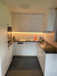 a white kitchen with white cabinets and a sink at Panorama Boutique Apartment with complimentary Spa access at Solbad Hotel in Sigriswil +11 photos