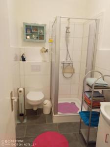 Vonios kambarys apgyvendinimo įstaigoje Vacanza