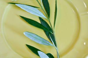 Afbeelding uit fotogalerij van Espianade House in Corfu-stad +20 foto's