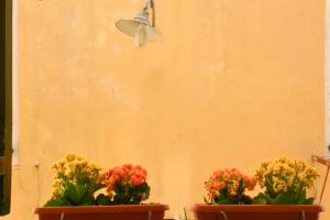 Afbeelding uit fotogalerij van Espianade House in Corfu-stad