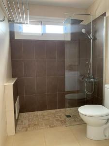 a bathroom with a toilet and a shower at SEA&RELAX in Puerto del Carmen