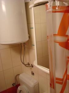 Koupelna v ubytování Marica - Studio Apartment