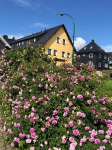 Zahrada ubytování Hotel Im Kräutergarten