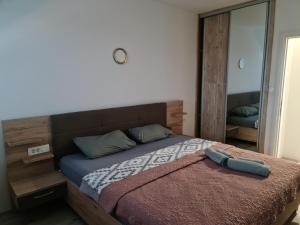 a bedroom with a bed and a large mirror at Apartment Mini in Kumanovo