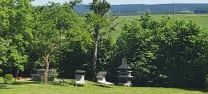 a group of chairs sitting in a field with trees at Ferienwohnung Schneifelsicht in Auw +9 photos