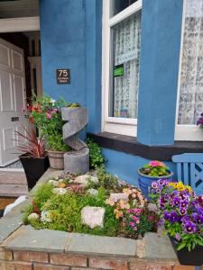 ブラックプールにあるSirocco Blues Guest Houseの花の咲く青い建物の前の庭