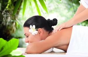 Lázně a/nebo wellness v ubytování Hôtel Le Lagon