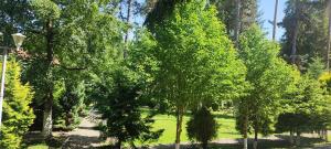 Aed väljaspool majutusasutust Hotel Parc Geoagiu Bai