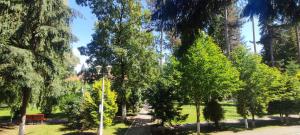 Aed väljaspool majutusasutust Hotel Parc Geoagiu Bai