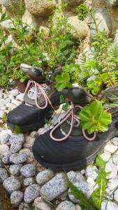 une paire de chaussures noires avec des plantes. dans l'établissement Lucky Kitten , High Tatras, à Nová Lesná