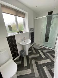 a bathroom with a sink and a toilet and a shower at Isle of Anglesey Spacious Home in Llanfairpwllgwyngyll