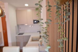 una pianta è appesa a un muro in una cucina di Apartments Amari a Starigrad-Paklenica (Ortopula) Altre 112 foto