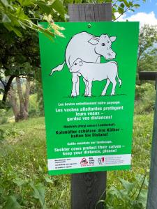 Altri animali domestici presso il bed & breakfast o nei dintorni