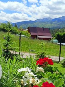 Fotografia z galérie ubytovania Apartament - Willa Na Górskim Szlaku v destinácii Murzasichle