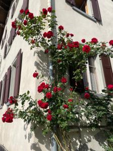 Foto dalla galleria di Gasthaus Beverin a Fardün