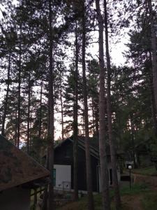 una cabaña en el bosque junto a algunos árboles en Zeleni raj en Vrnjačka Banja