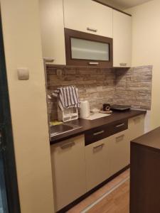 a kitchen with a sink and a tv on a wall at Zeleni raj in Vrnjačka Banja