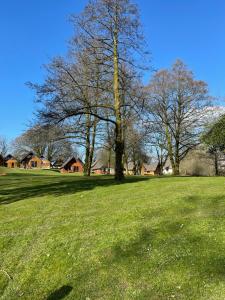 un champ d'herbe planté d'arbres en arrière-plan dans l'établissement 81 Hengar Manor, à Bodmin