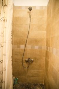 a shower with a shower head in a bathroom at Casa el Mar apartamento El Faro in Güimar