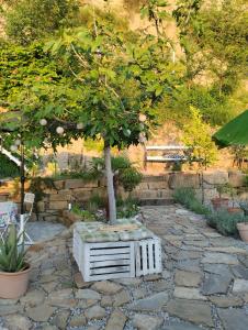 Gallery image of Apartments Stella in Piran