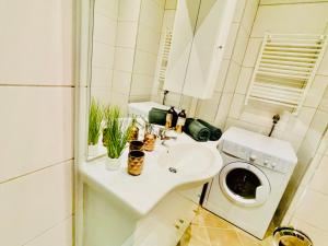 y baño con lavabo y lavadora. en Colorful & Quiet Apartment in Beautiful Viennese Building en Viena