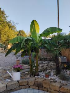 Gallery image of Apartments Stella in Piran