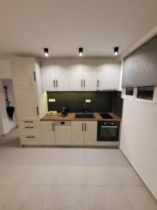 Kuchyňa alebo kuchynka v ubytovaní Mara Apartments