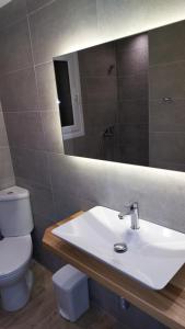 a bathroom with a sink and a toilet and a mirror at Villa Aliki in Batsi