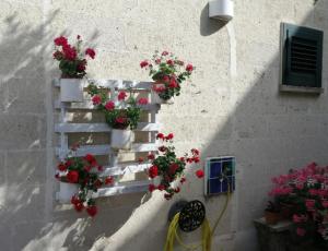 A garden outside Casa Serradei