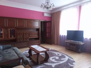 a living room with a couch and a tv at Knaus Apartments in Chernivtsi