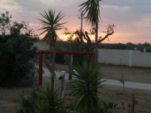 The sunrise or sunset as seen from Az apartmant or nearby
