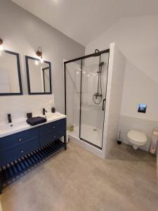 a bathroom with a shower and a sink and a toilet at Emilie une nuit - 3 chambres au 2e étage - maison avec chats in Vandières