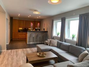 a living room with a couch and a kitchen at Notodden Sentrum Apartment NO 8 in Notodden