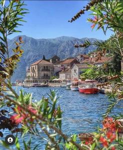 a group of boats in a body of water at Mara Apartments in Perast