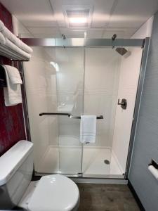 a bathroom with a shower with a toilet and a sink at The Beach Haus - Traverse City in Traverse City