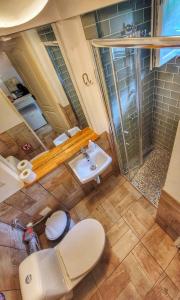 a bathroom with a shower and a toilet and a sink at The Bungalow in Braşov