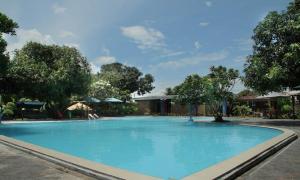 a large blue swimming pool with trees in the background at Jazz Hotel Palu in Palu