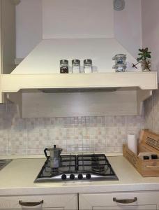 Кухня или мини-кухня в Colline Di Barengo Apartment

