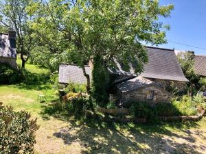 an old stone house with a tree in the yard at La vieille ferme in Landévennec