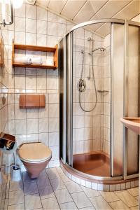 a bathroom with a shower and a toilet at Vordersattlegghof in Hüttau