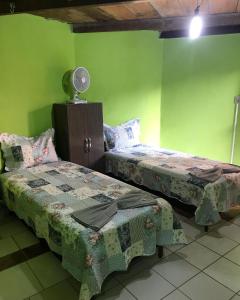 two beds in a room with green walls at Chalé Raio De Sol in Vale do Capao