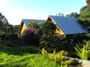 Gallery image of Meru Mbega Lodge in Usa River