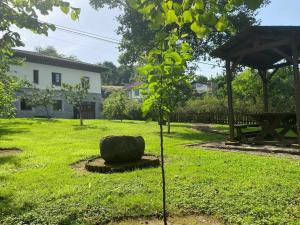 A garden outside Casa de Los Carpinteros