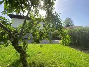 A garden outside Casa de Los Carpinteros