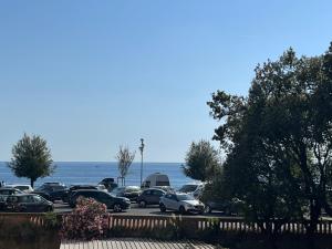 Naturlandskabet i nærheden af lejligheden